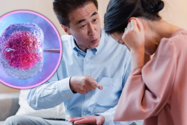 Con gái giúp mẹ thu thập bằng chứng bố ngoại tình, đòi lại tiền từ tiểu tam-2