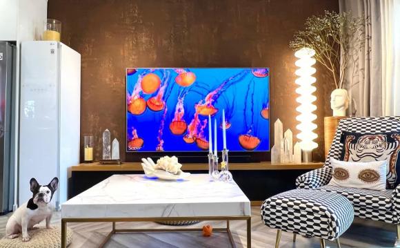 Căn chung cư được decor cực chất mà người mẫu Lê Thúy đang rao bán có gì đặc biệt?-3