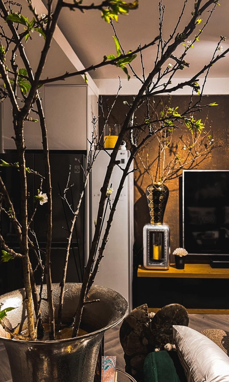 Căn chung cư được decor cực chất mà người mẫu Lê Thúy đang rao bán có gì đặc biệt?-18