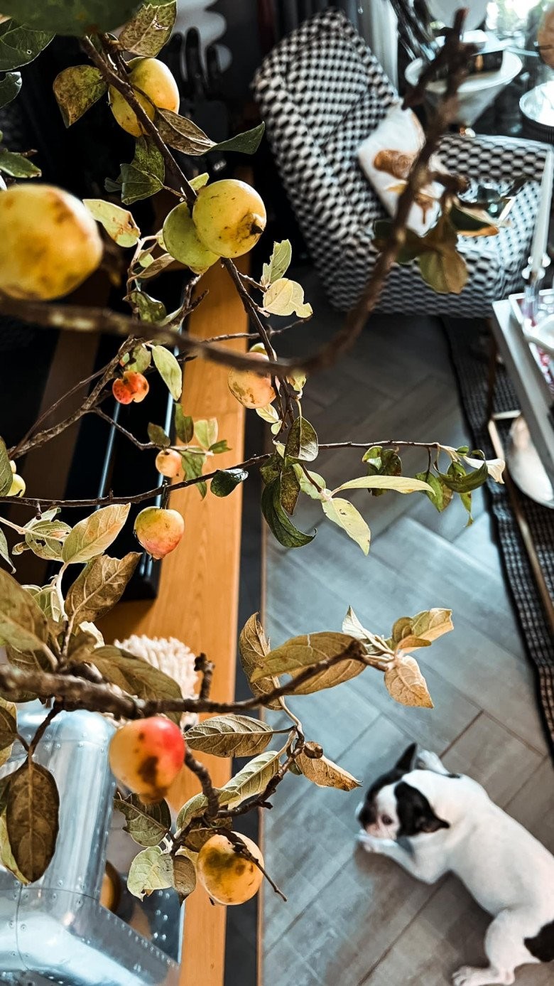 Căn chung cư được decor cực chất mà người mẫu Lê Thúy đang rao bán có gì đặc biệt?-21