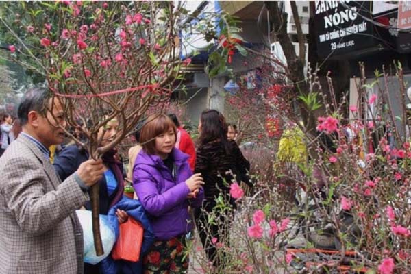 Đất không có giấy tờ trước 1/7/2014 sẽ được cấp sổ đỏ-2