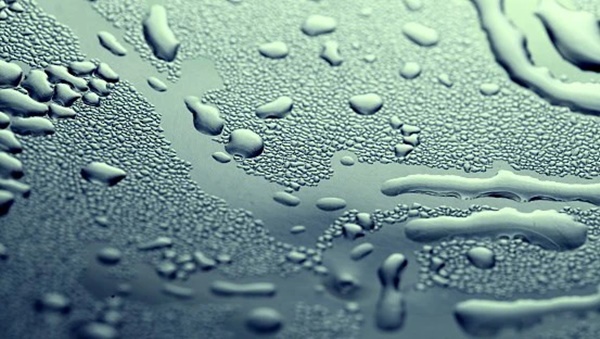 Bụi mịn và mưa ẩm kết hợp đe dọa sức khỏe: Việc cần làm ngay để thanh lọc phổi, tránh bệnh hô hấp trong ngày ô nhiễm không khí-3