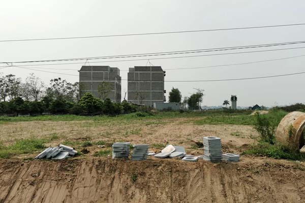 Người phụ nữ tàng trữ 36.000 viên đạn, linh kiện súng-2