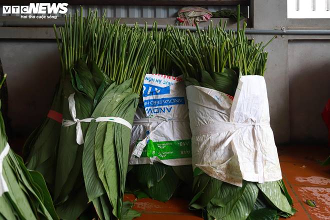 Tất bật thu hoạch lá dong, mong hốt bạc dịp Tết Nguyên đán-11