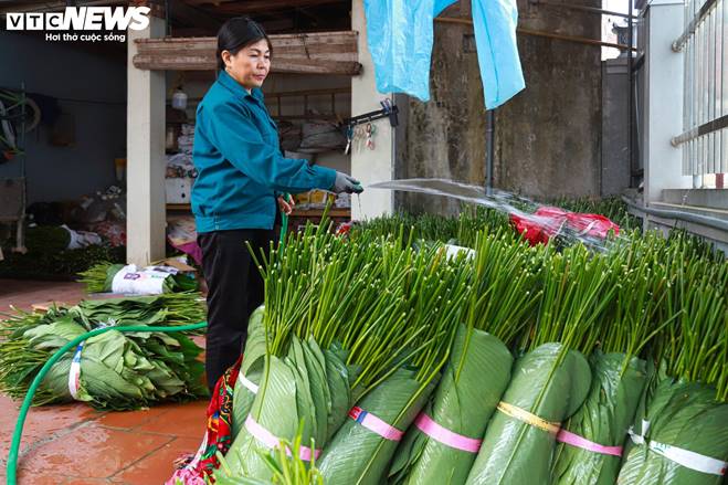 Tất bật thu hoạch lá dong, mong hốt bạc dịp Tết Nguyên đán-9