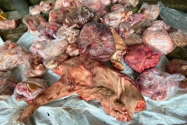 Không khí lạnh mạnh kèm mưa trong tiết đại hàn, miền Bắc sắp rét cắt da cắt thịt-2