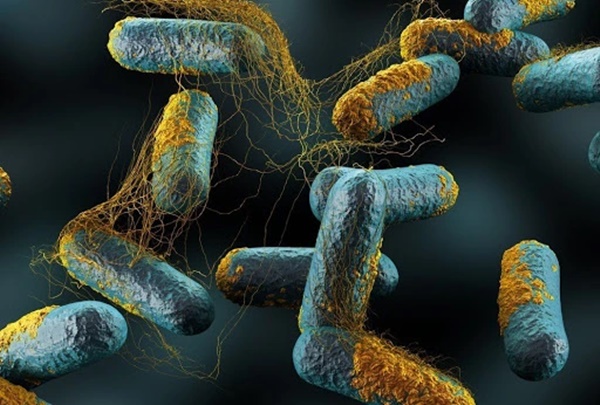 Dân buôn tiết lộ sự thật phía sau loại chả mực có giá 150k trên chợ mạng-6