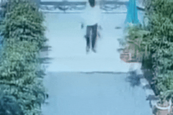 Người đàn ông dùng tay không tóm gọn rắn hổ mang khổng lồ-1