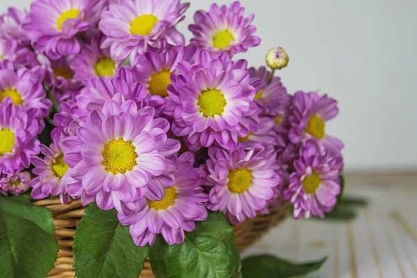 Mưa xuân rắc lộc: 3 con giáp cuối tháng 1 được Thần Tài gọi tên, tin vui nối tiếp nhau gõ cửa-3