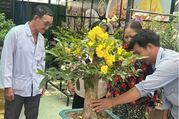 Cây, hoa độc lạ hút khách chơi Tết-1