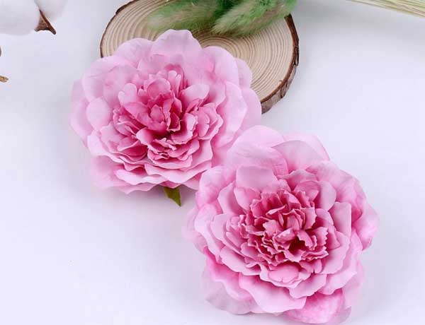 Tử vi ngày 20/1/2024: Tuổi Ngọ phần thưởng bất ngờ, tuổi Mão nhận được ủng hộ-1