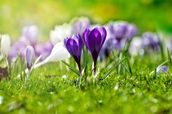 Tử vi ngày 20/1/2024: Tuổi Ngọ phần thưởng bất ngờ, tuổi Mão nhận được ủng hộ-3