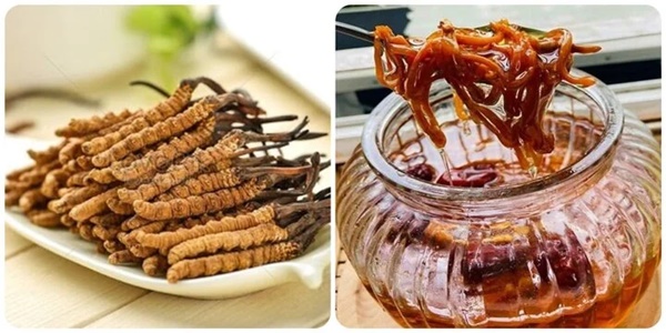 Đông trùng hạ thảo bổ dưỡng nhưng đại kỵ với 5 nhóm người sau-1