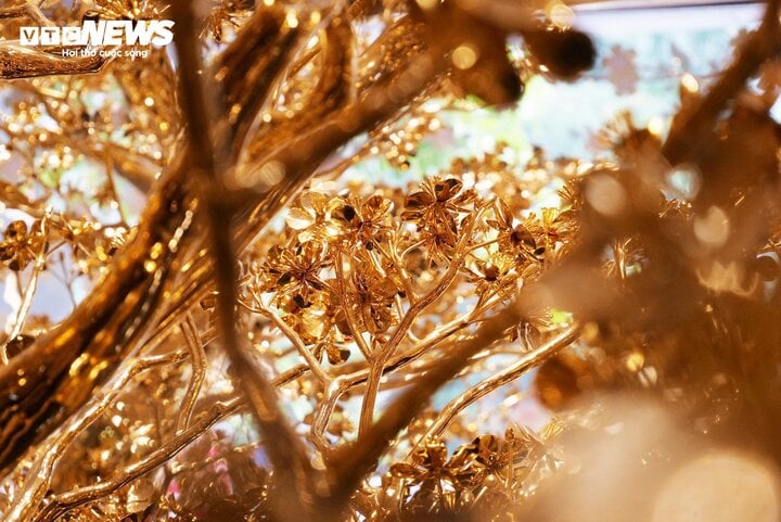 Chiêm ngưỡng cây bồ đề mạ vàng, nặng hơn 1 tấn ở TP.HCM-11