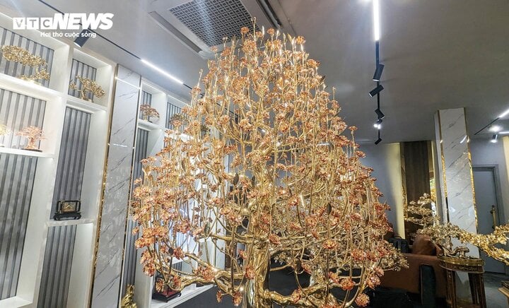 Chiêm ngưỡng cây bồ đề mạ vàng, nặng hơn 1 tấn ở TP.HCM-7