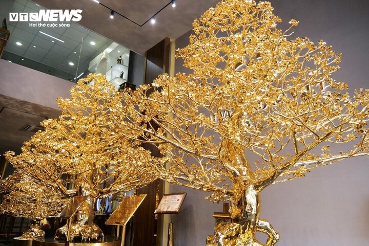 Chiêm ngưỡng cây bồ đề mạ vàng, nặng hơn 1 tấn ở TP.HCM-10