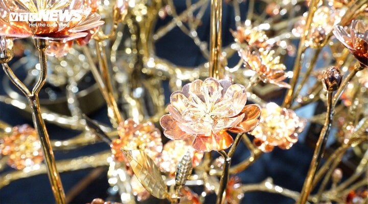 Chiêm ngưỡng cây bồ đề mạ vàng, nặng hơn 1 tấn ở TP.HCM-9