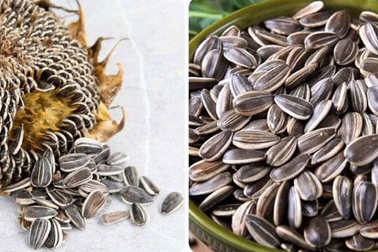 Ăn nhiều hạt hướng dương có tốt cho sức khoẻ?
