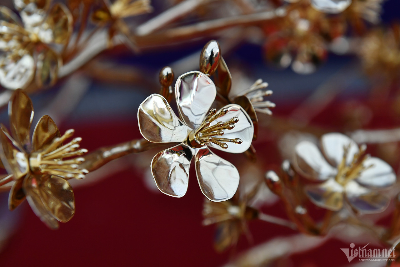 Chậu lan hồ điệp gần 4 tỷ, dép tổ ong mạ vàng đón Tết-4