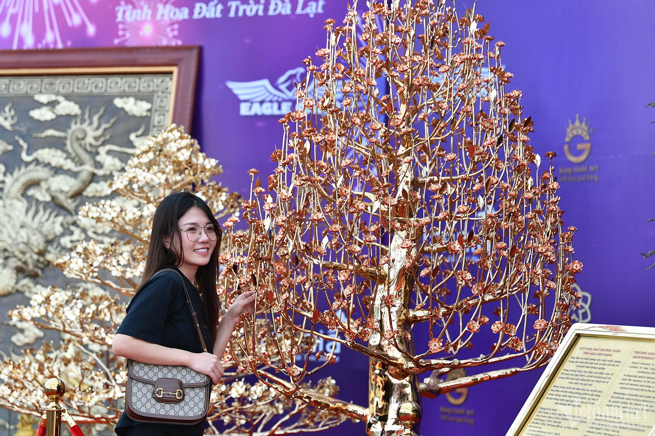 Chậu lan hồ điệp gần 4 tỷ, dép tổ ong mạ vàng đón Tết-5