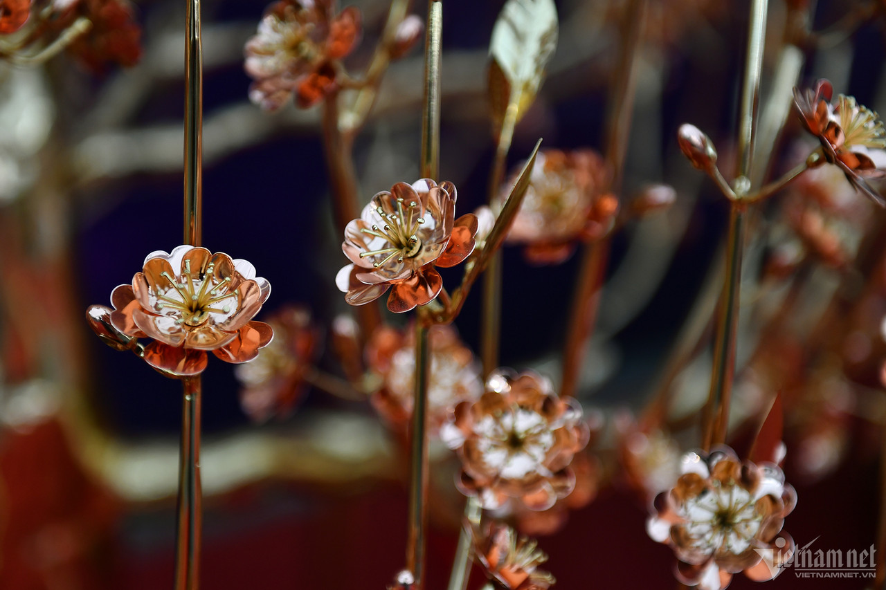 Chậu lan hồ điệp gần 4 tỷ, dép tổ ong mạ vàng đón Tết-6