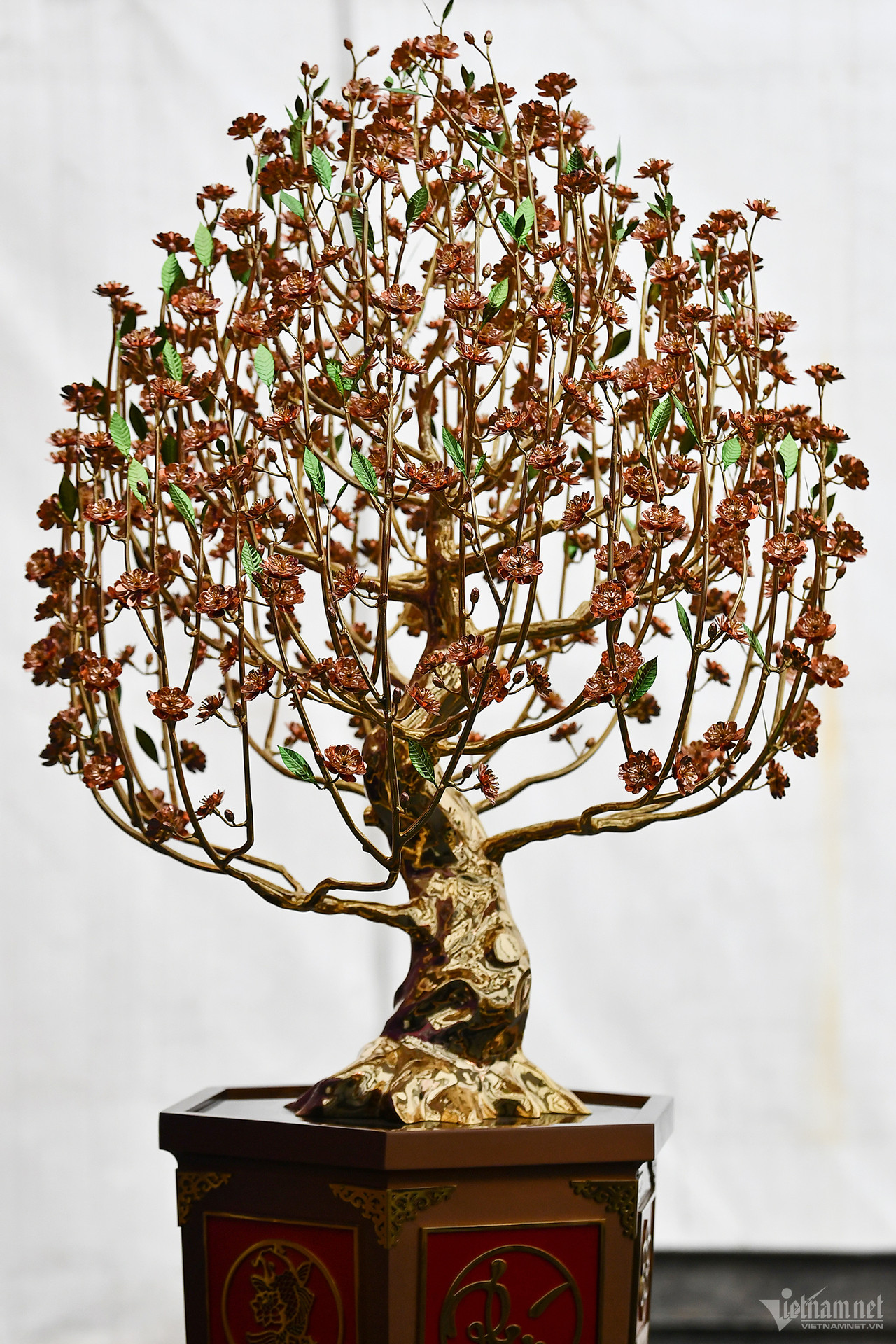 Chậu lan hồ điệp gần 4 tỷ, dép tổ ong mạ vàng đón Tết-9