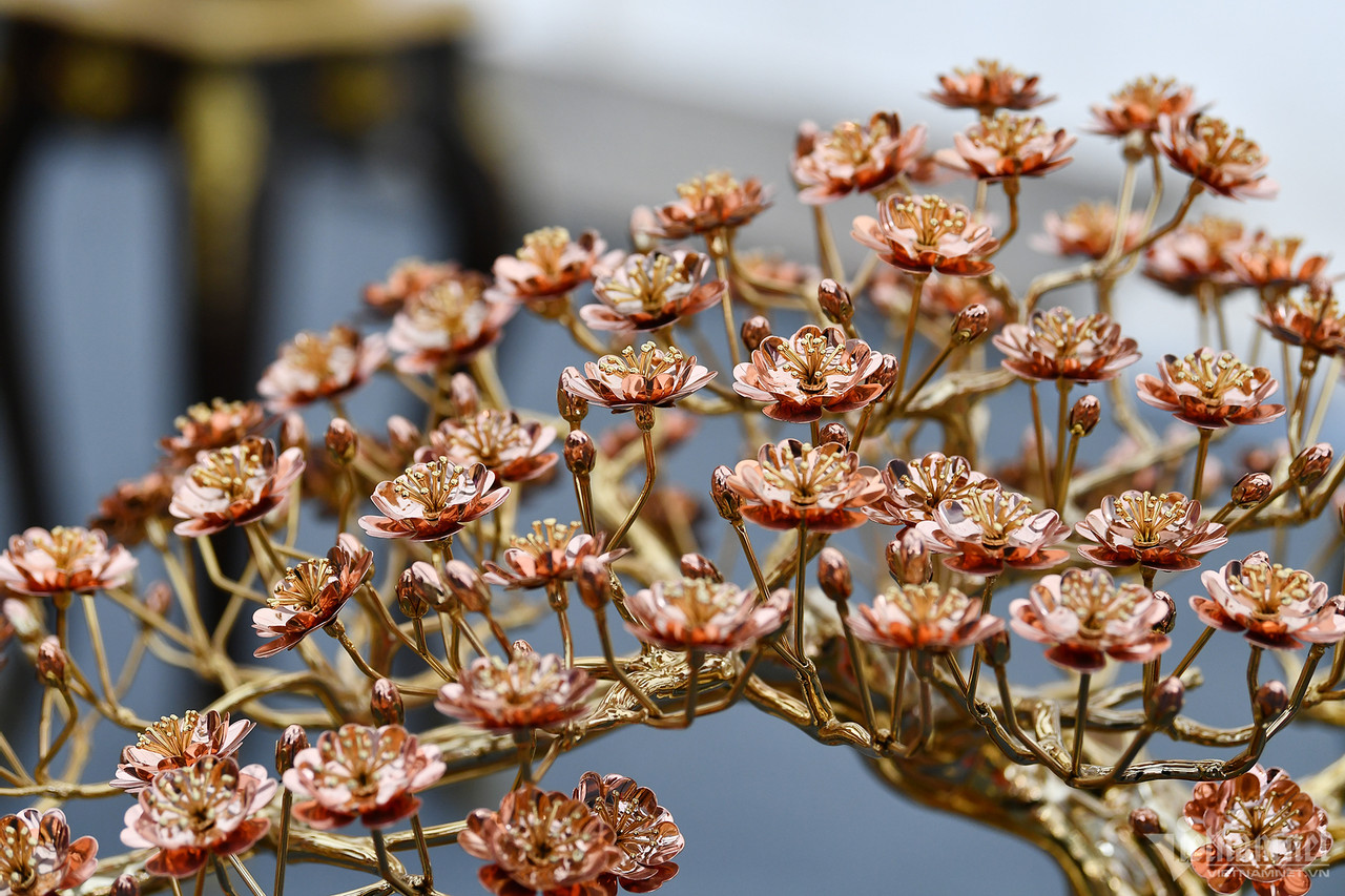 Chậu lan hồ điệp gần 4 tỷ, dép tổ ong mạ vàng đón Tết-10