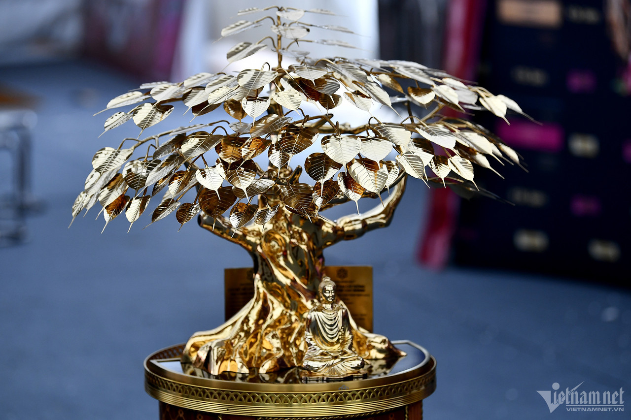 Chậu lan hồ điệp gần 4 tỷ, dép tổ ong mạ vàng đón Tết-12