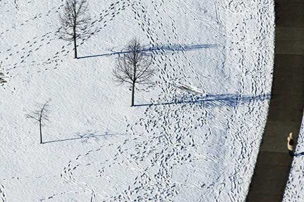 Ít nhất 60 người thiệt mạng do giá rét tại Mỹ-1