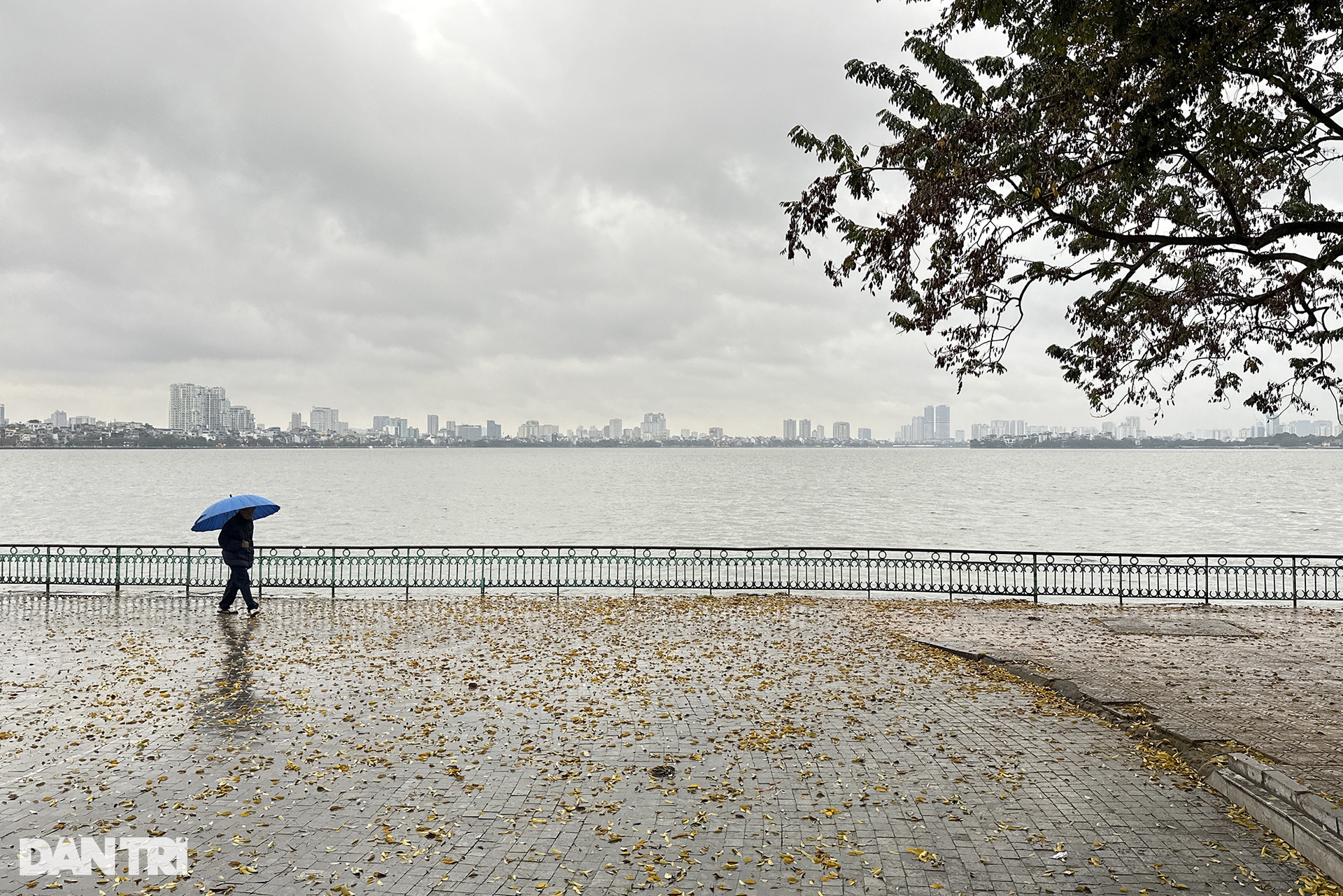 Người dân Hà Nội đương đầu với thời tiết rét đậm kèm mưa liên tục-8