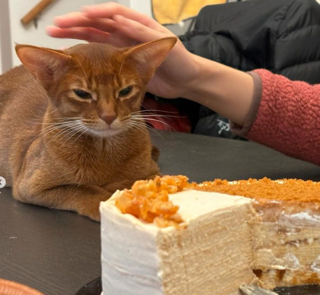 Vụ kỹ sư Google giết vợ dã man: Bạn bè linh cảm chuyện chẳng lành, thêm thông tin bất ngờ về tên chồng sát nhân và người vợ xấu số-3