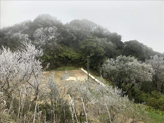 Lung linh băng tuyết tại đỉnh cao Phia Oắc- Cao Bằng-1