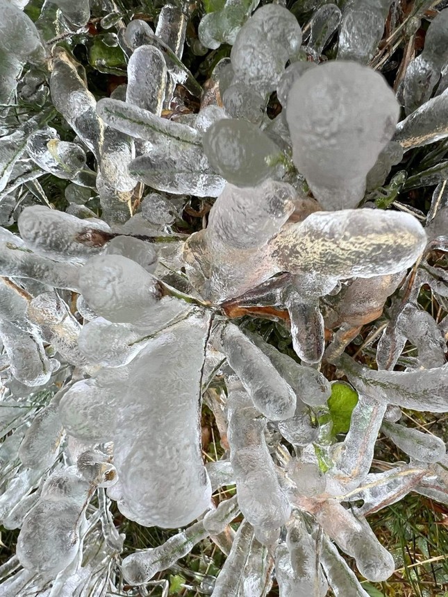 Lung linh băng tuyết tại đỉnh cao Phia Oắc- Cao Bằng-3