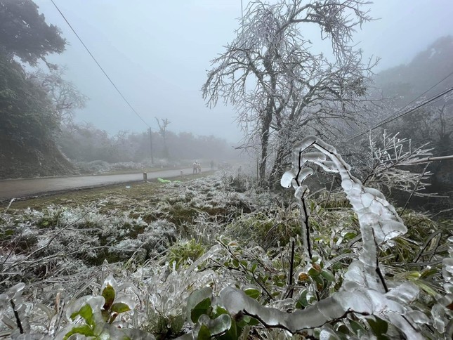 Lung linh băng tuyết tại đỉnh cao Phia Oắc- Cao Bằng-5