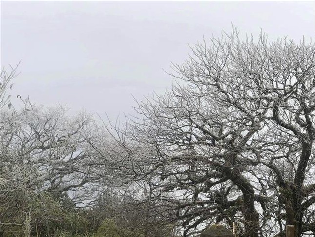 Lung linh băng tuyết tại đỉnh cao Phia Oắc- Cao Bằng-6