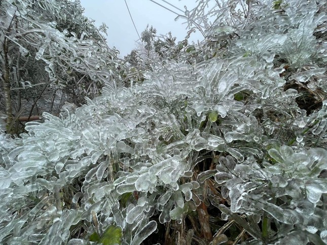 Lung linh băng tuyết tại đỉnh cao Phia Oắc- Cao Bằng-7