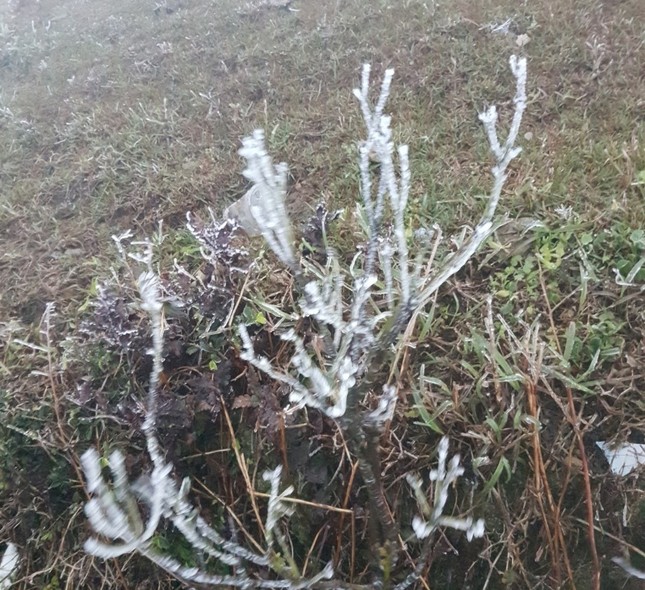 Lung linh băng tuyết tại đỉnh cao Phia Oắc- Cao Bằng-8