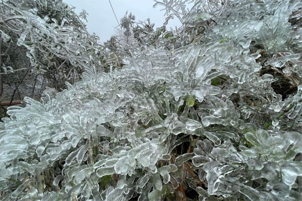 Băng tuyết phủ trắng đỉnh Mẫu Sơn, du khách kéo lên ngắm-7