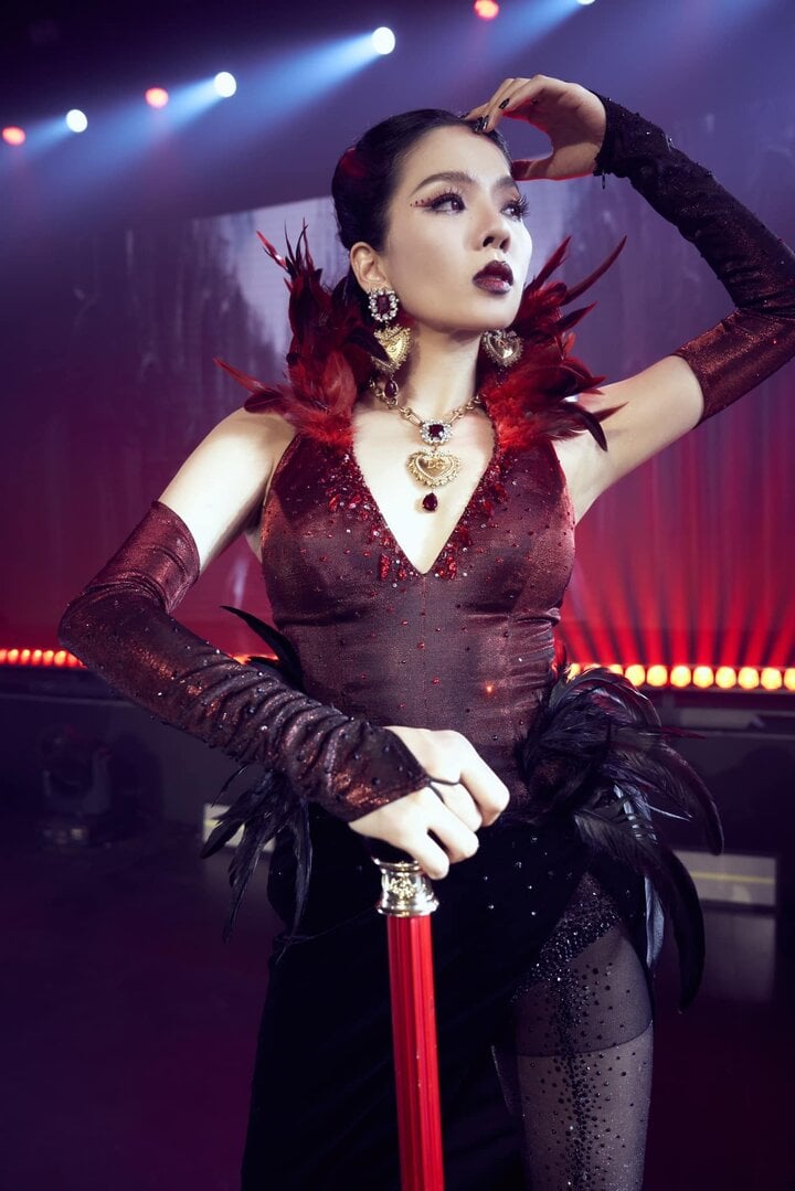 Sự nghiệp rực rỡ bao năm, Lệ Quyên bị lập nhóm antifan khi tham gia show Chị đẹp-1