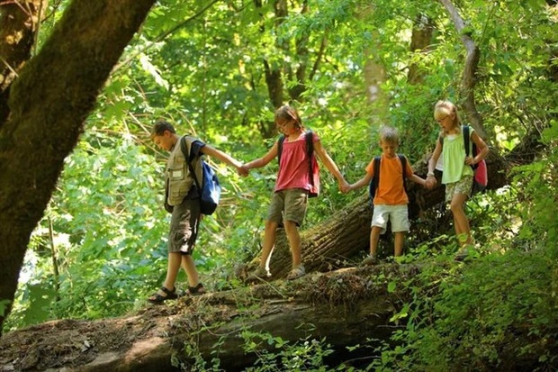 Giám đốc ngân hàng chi 55 tỷ đồng nuôi 3 người con NHƯNG không một ai thành tài, đau khổ thú nhận: Tôi đã tạo nên những đứa trẻ kém may mắn!-3