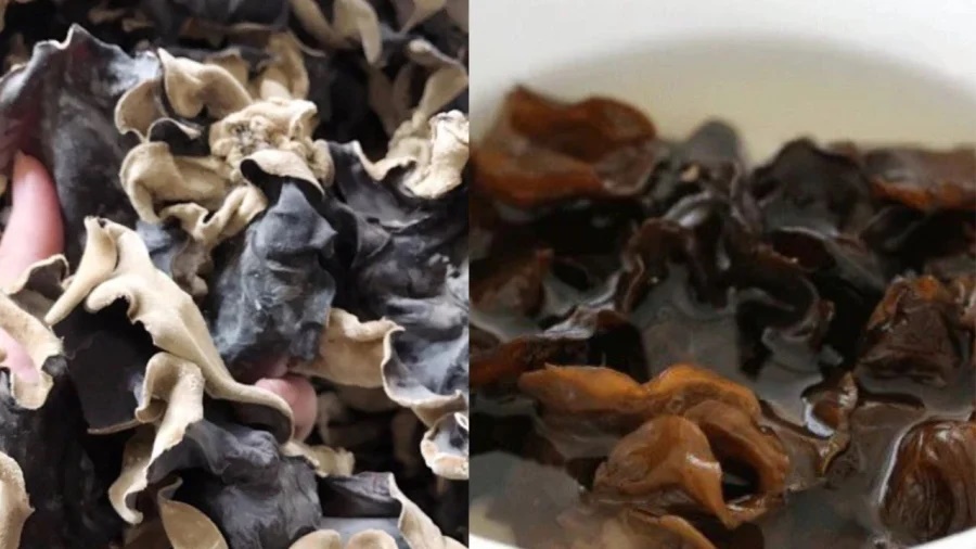 Vì sao mộc nhĩ không được dùng khi còn tươi, bắt buộc chỉ dùng khi đã phơi khô? Nhiều người còn chưa biết-2