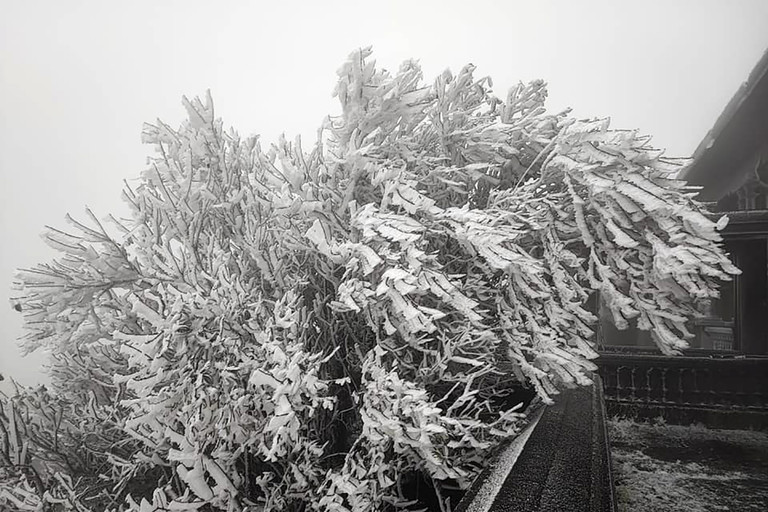 Hình ảnh băng giá phủ trắng đỉnh Mẫu Sơn trong gió rét đậm-5