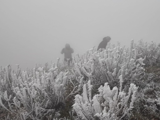 Băng tuyết phủ trắng đỉnh Mẫu Sơn, du khách kéo lên ngắm-6