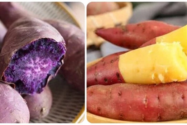Những người không nên ăn xôi và bánh chưng ngày Tết-2