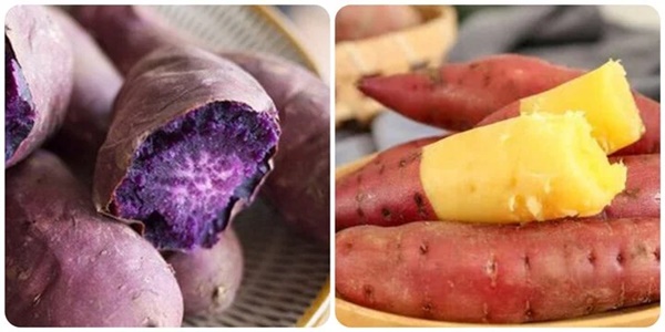 Ai không nên ăn khoai lang?-1