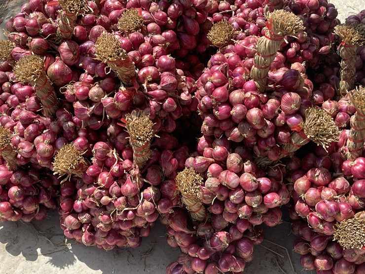 Đem hành tím đi làm mứt, người phụ nữ bán ra hàng nghìn hộp-2