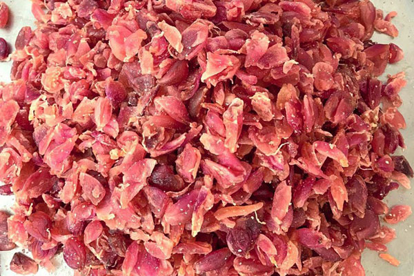 Loại quả giá rẻ ở miền Tây thành đặc sản Tết, bán 500 nghìn/kg vẫn đắt hàng-3