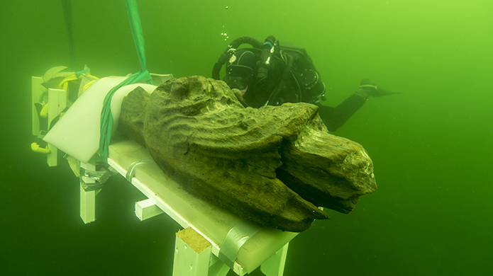 Quái ngư kinh dị xuất hiện tại Nhật Bản sau trận mưa lớn, dấy lên nhiều lo lắng vì 1 lý do-4