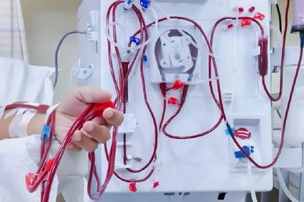 Suy đa tạng, nguy kịch sau khi ăn thịt lợn ốm chết-2