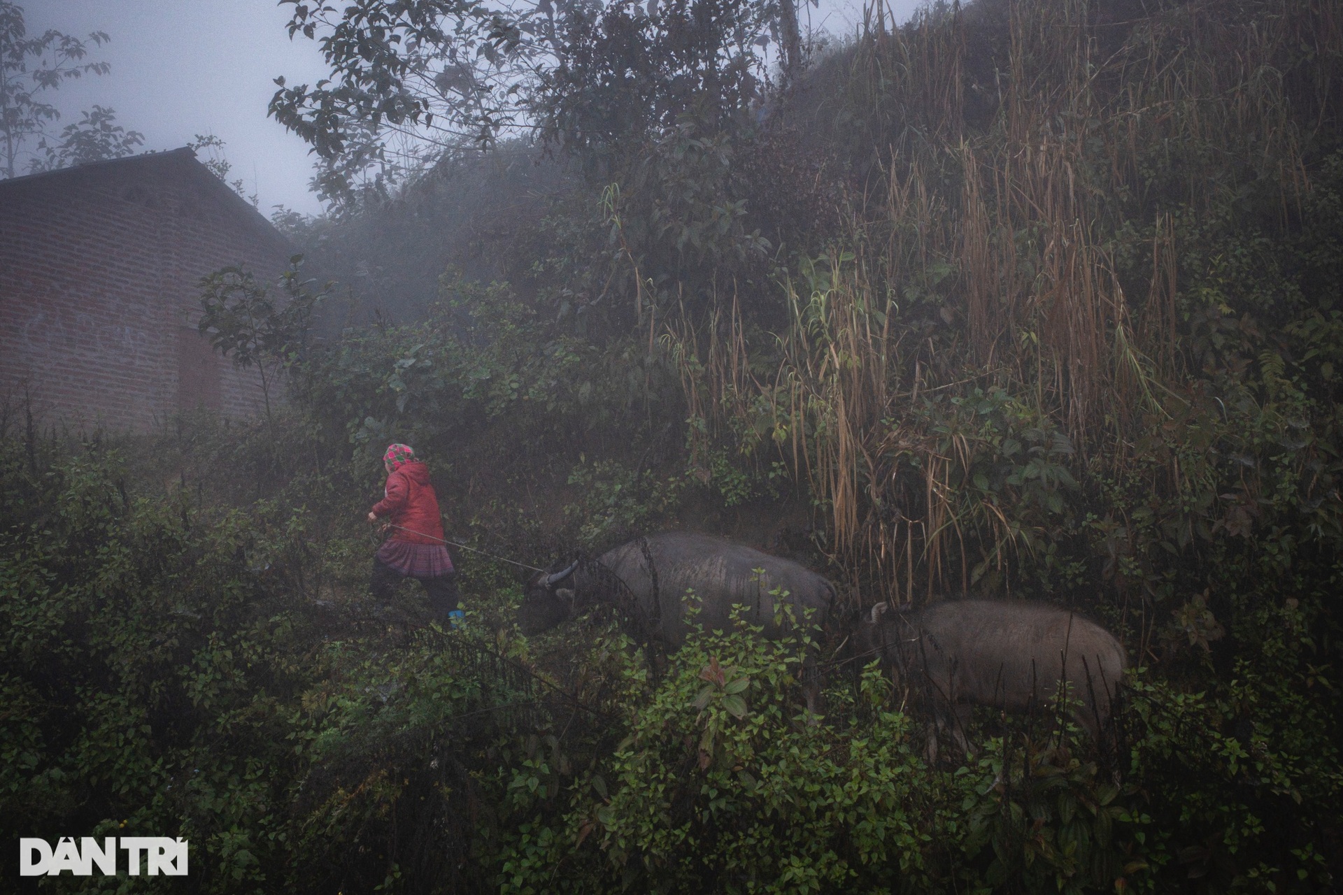 Sinh hoạt trong thời tiết khắc nghiệt -3 độ C ở ngôi làng trên mây-11